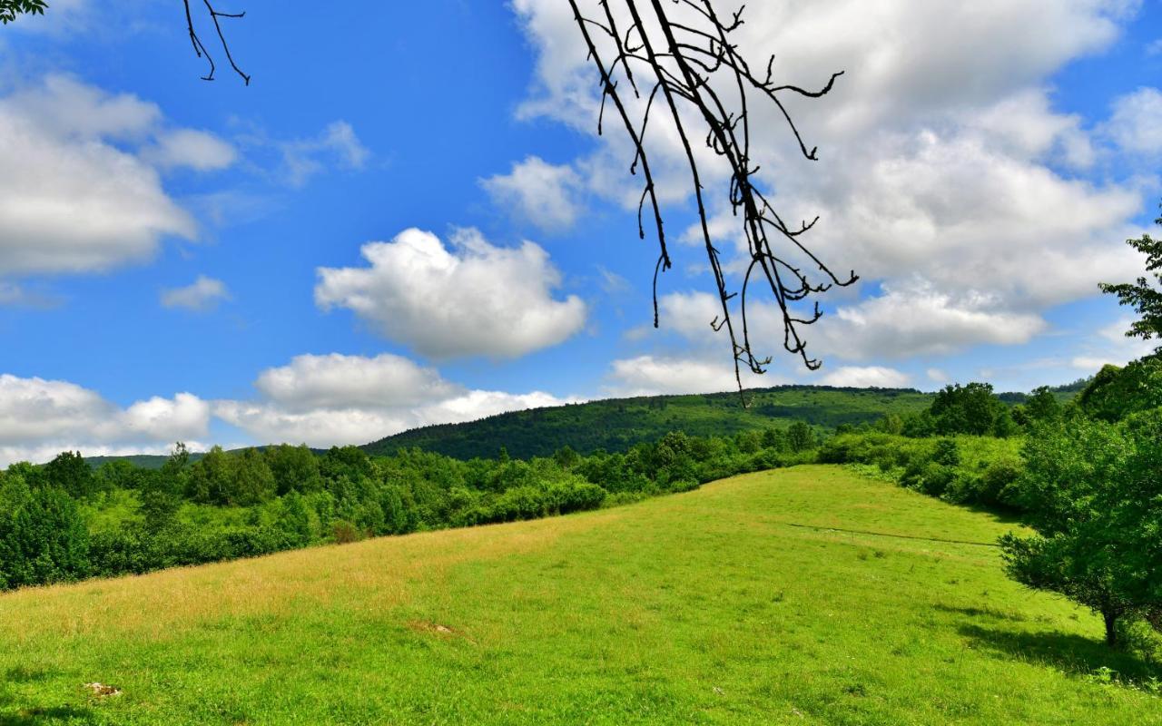 Natura Hause Rakovica Exterior photo