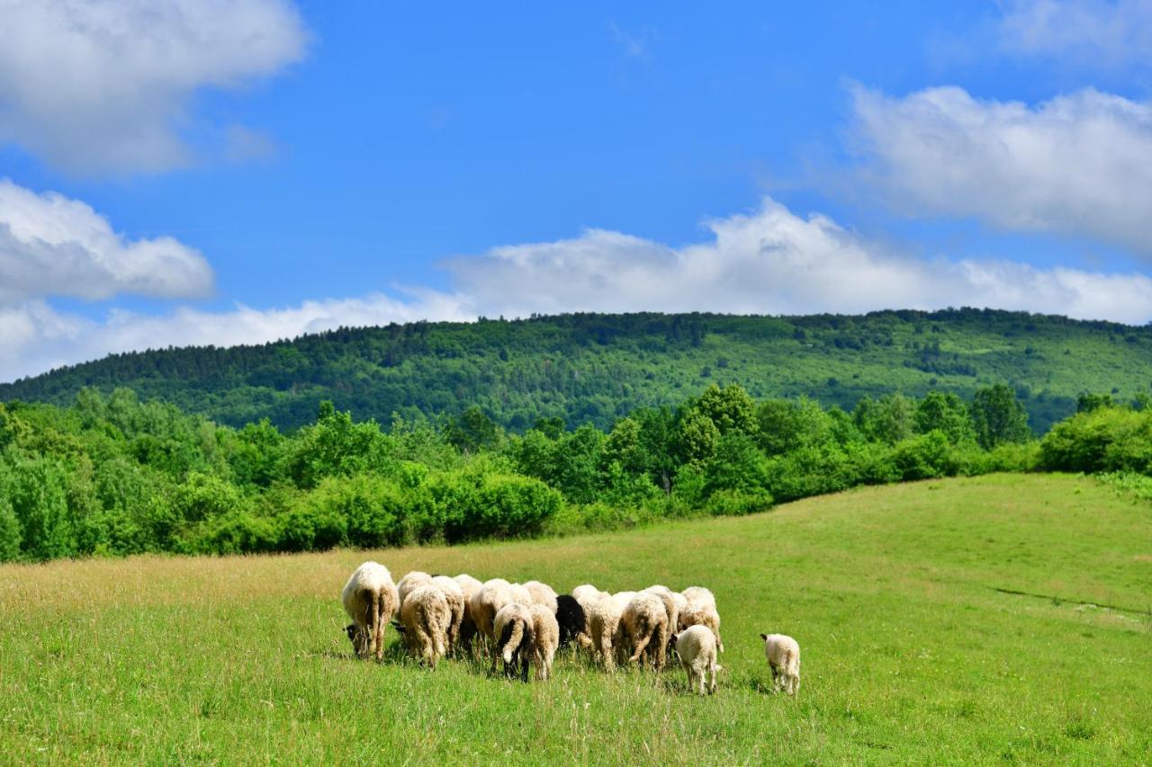 Natura Hause Rakovica Exterior photo